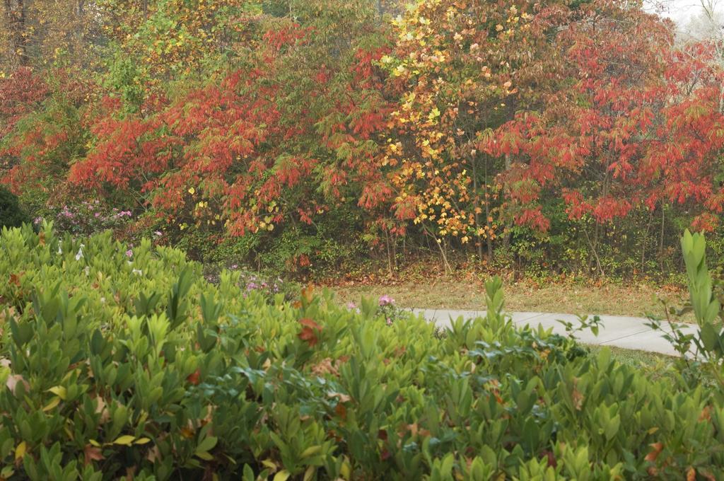 Brasstown Valley Resort & Spa Young Harris Ngoại thất bức ảnh