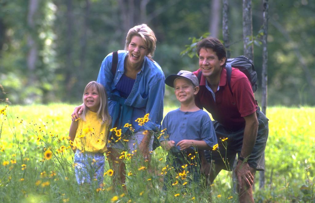 Brasstown Valley Resort & Spa Young Harris Ngoại thất bức ảnh