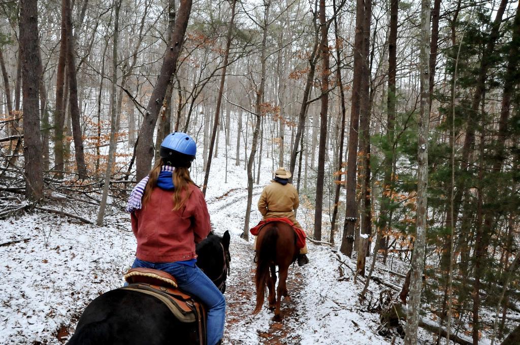 Brasstown Valley Resort & Spa Young Harris Ngoại thất bức ảnh