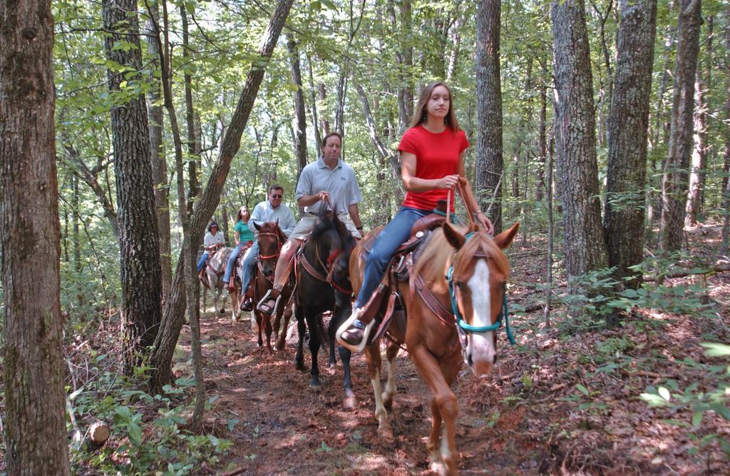 Brasstown Valley Resort & Spa Young Harris Ngoại thất bức ảnh