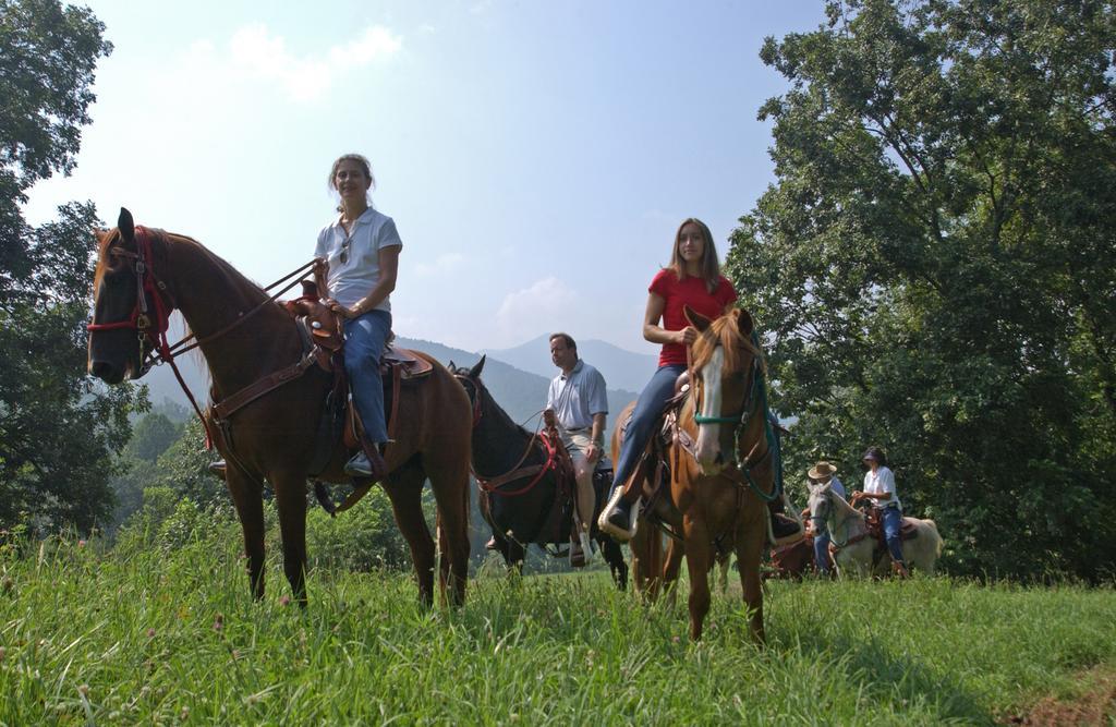 Brasstown Valley Resort & Spa Young Harris Ngoại thất bức ảnh